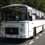 Oldtimer witte DAF-bus Huren Bruiloft Huwelijk