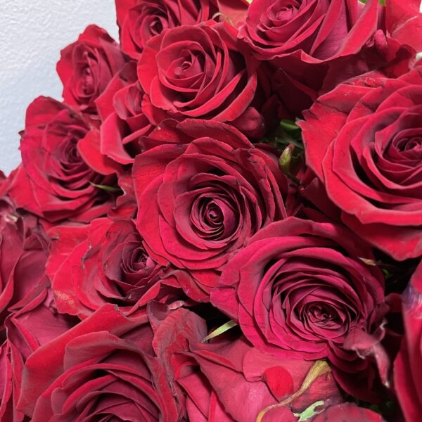 Valentijn Bloemen boeket verse Rode Rozen